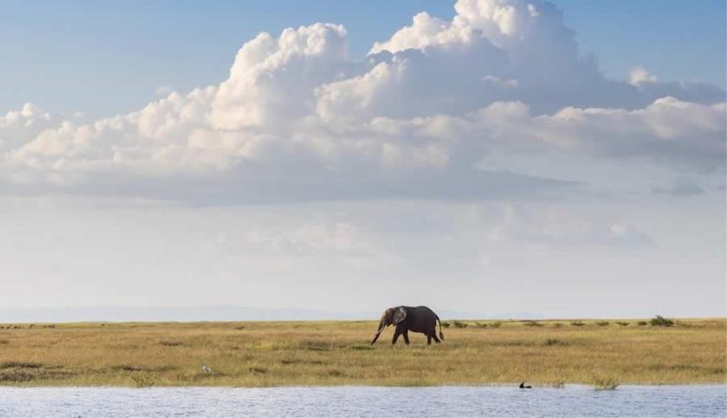 Fothergill Island - Lake Kariba - Image 11