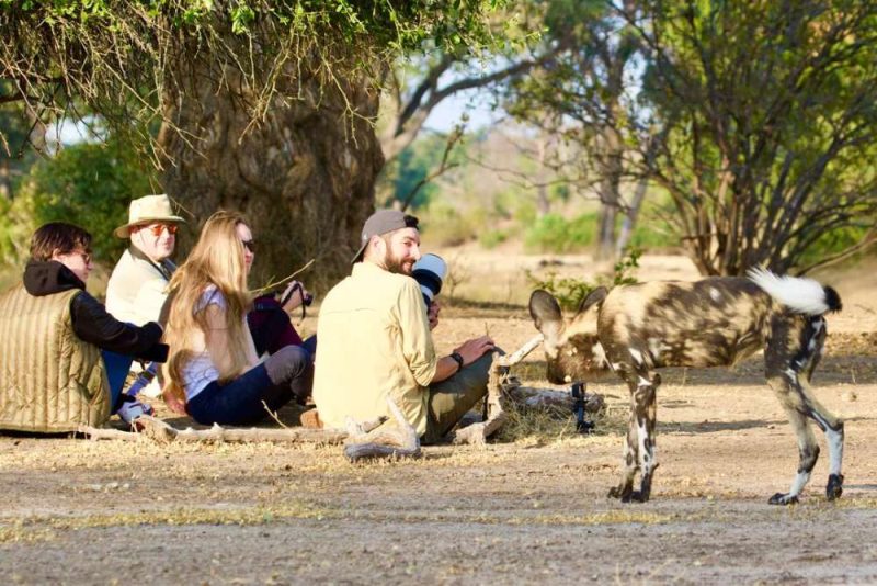 Stretch Ferreira Safaris - Mana Pools - Image 8