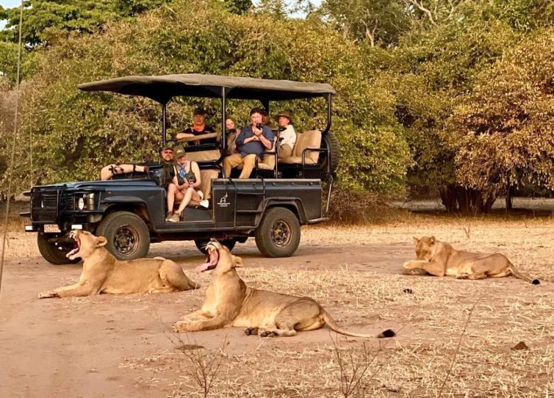 Stretch Ferreira Safaris - Mana Pools