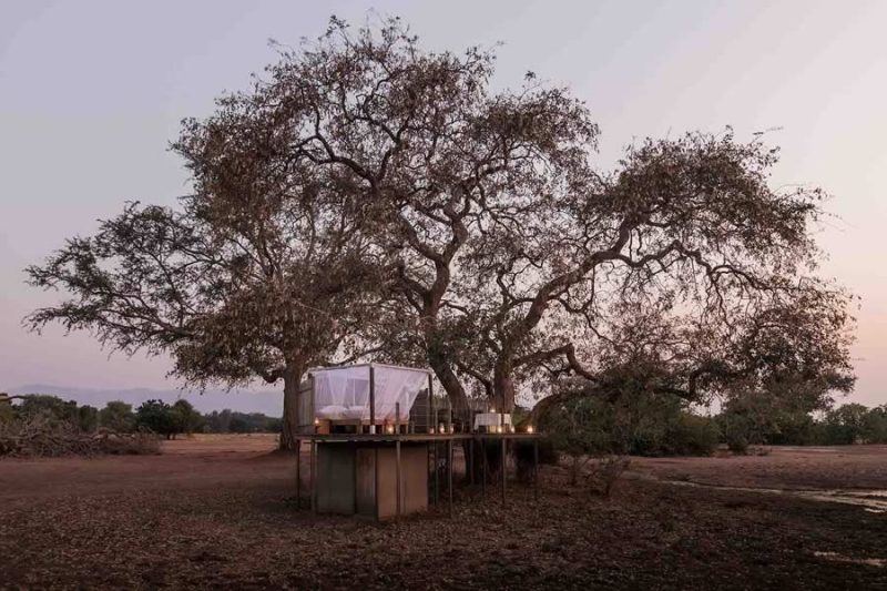 Ruckomechi – Mana Pools - Image 12