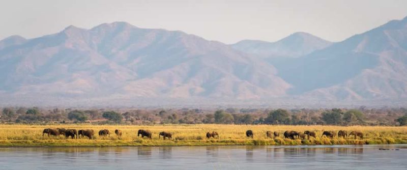 Ruckomechi – Mana Pools - Image 13