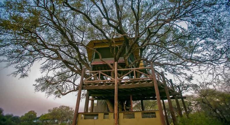 The Hide - Hwange - Image 11