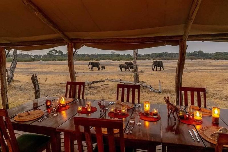 The Hide - Hwange